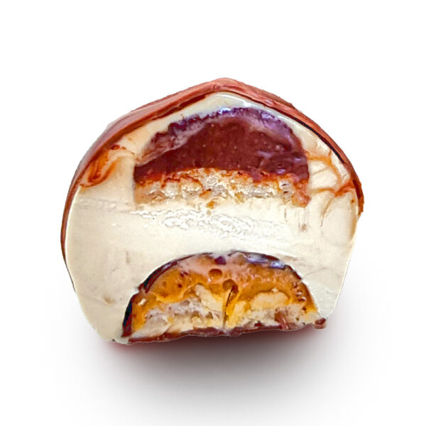 hazelnut אגוז לוז