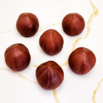 hazelnut אגוז לוז